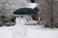 Seattle Snowman Anticipates Rain