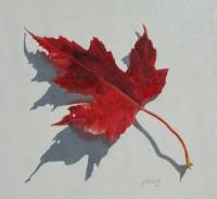 Maple Leaf, Red 2