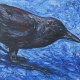 Crow 1