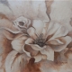 White Floral with Brown Shadows
