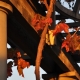 Autumn colors in Huntington Gardens