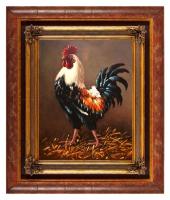 Rooster - the master of the yard