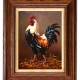 UntitledRooster - the master of the yard