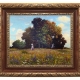 summer day in the glade